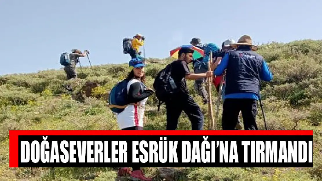 Doğaseverler Esrük Dağı'na tırmandı