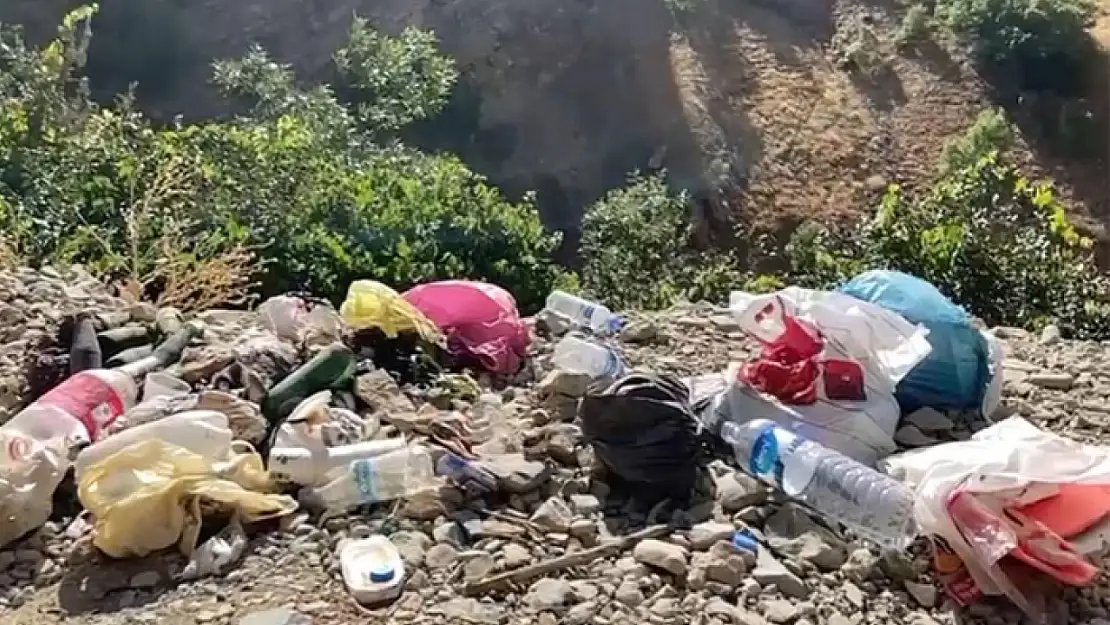 Doğaseverlerden piknikçilere tepki