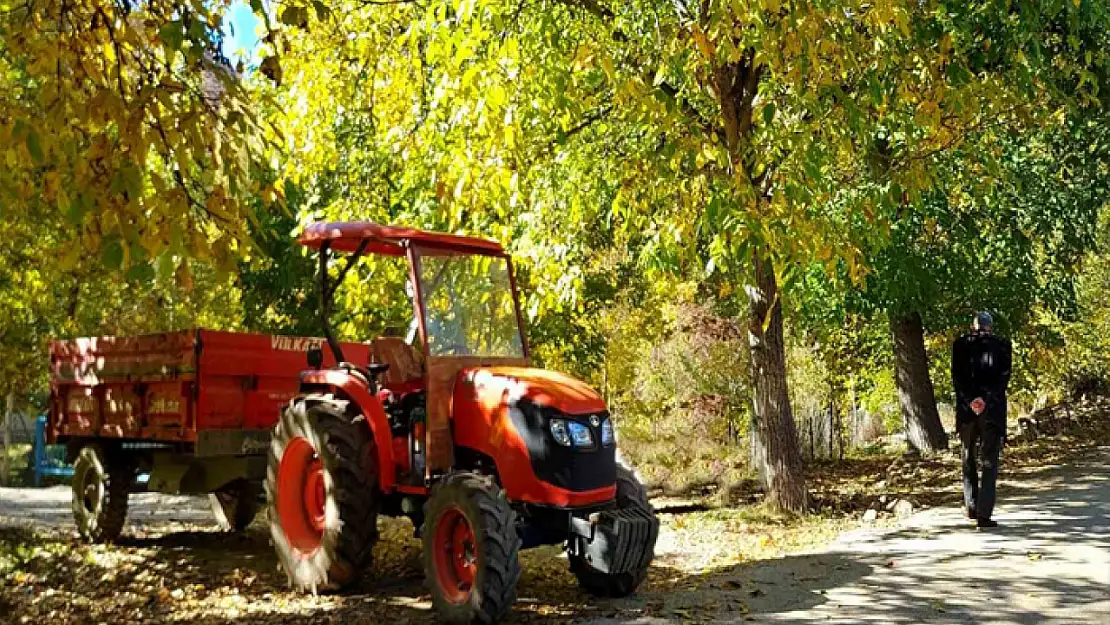 Doğu'nun bitkisel üretim karnesi