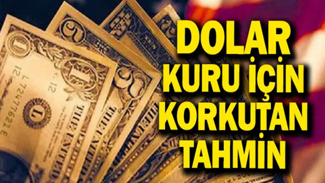 Dolar o tarihte 31 lirayı aşacak! Merkez Bankası duyurdu: Herkes harekete geçti