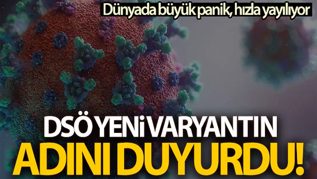 DSÖ, Covid-19'un yeni mutasyonunu 'Omicron' olarak adlandırdı