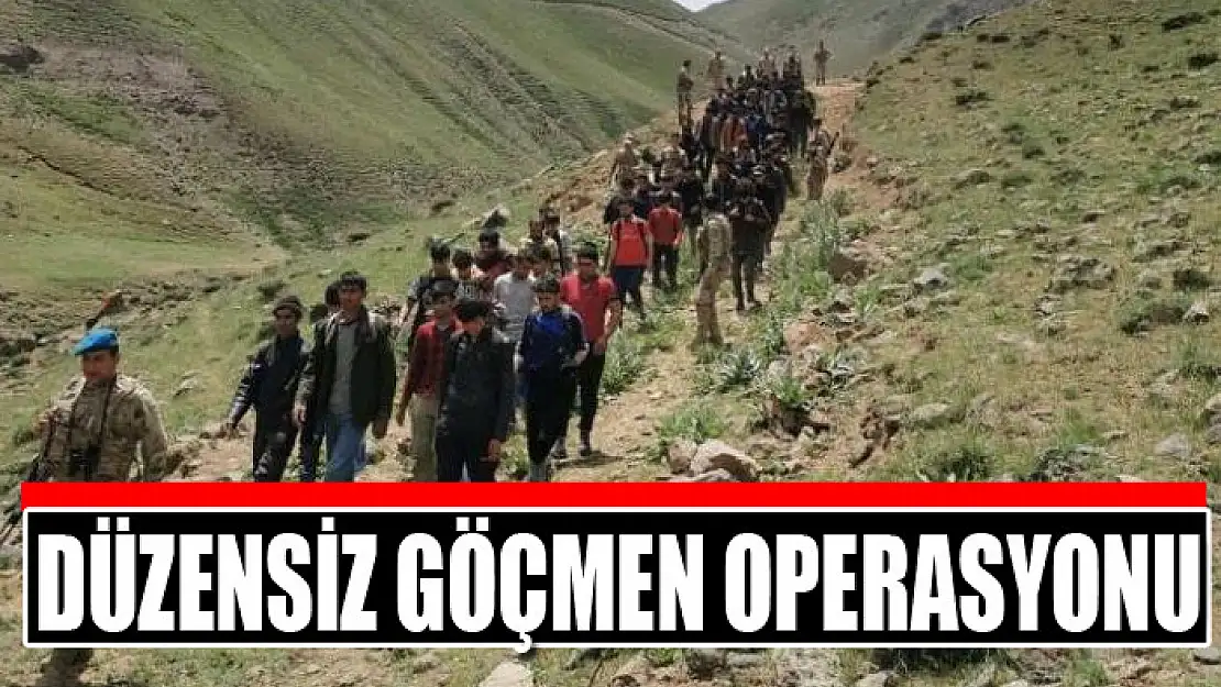 Düzensiz göçmen operasyonu