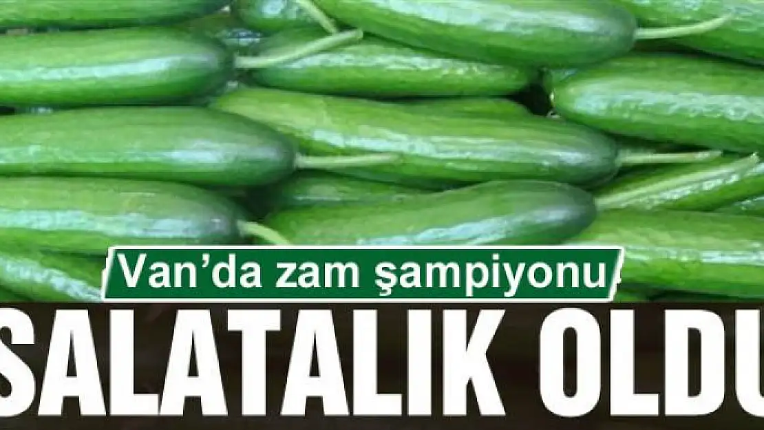 Van'da zam şampiyonu salatalık oldu