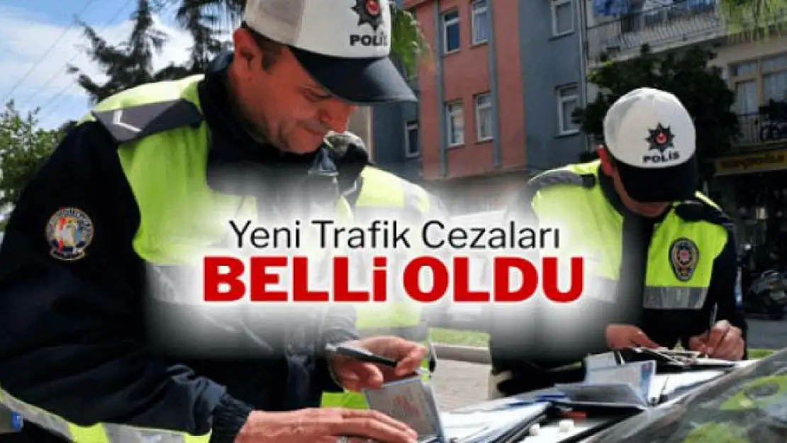 2017 yılı trafik cezaları belli oldu