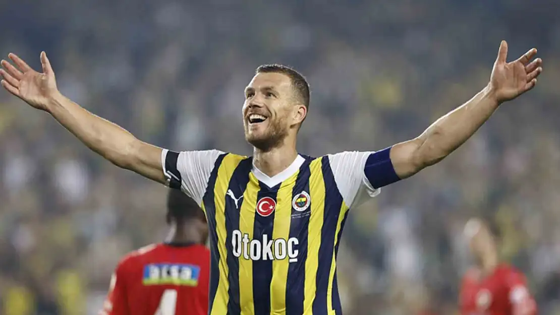 Edin Dzeko'nun Fenerbahçe karnesi