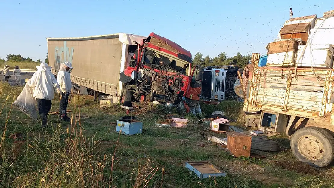 Edirne'de, Muğlalı arıcılara tır çarptı: 4 ölü, 1 yaralı