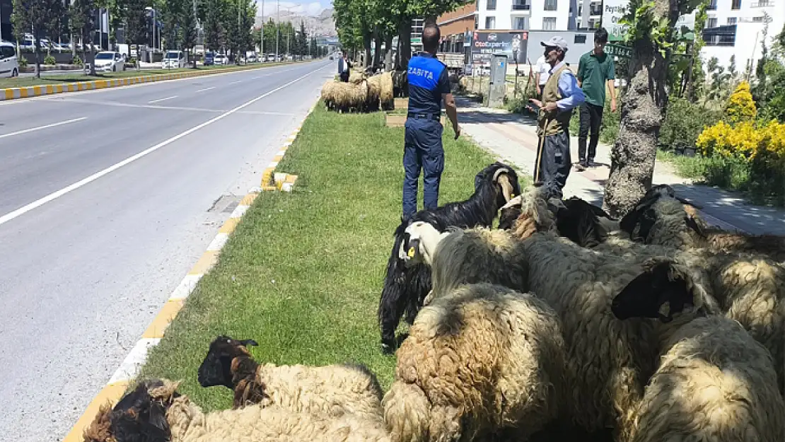 Edremit Belediyesi'nden kurban satışı uyarısı