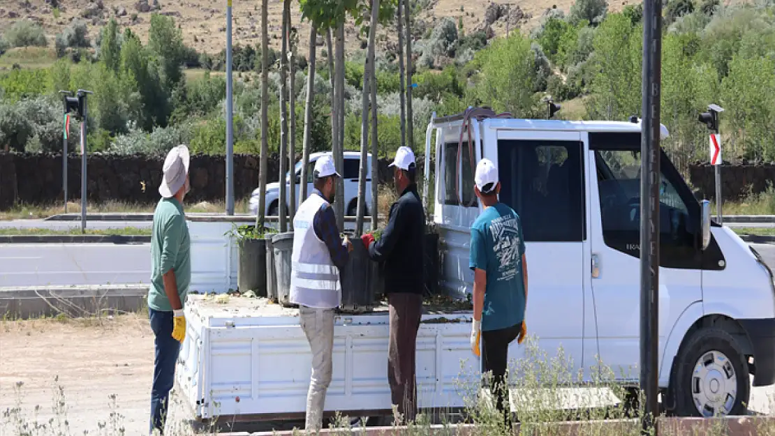 Edremit Belediyesi'nden mesire alanı yenileme çalışması