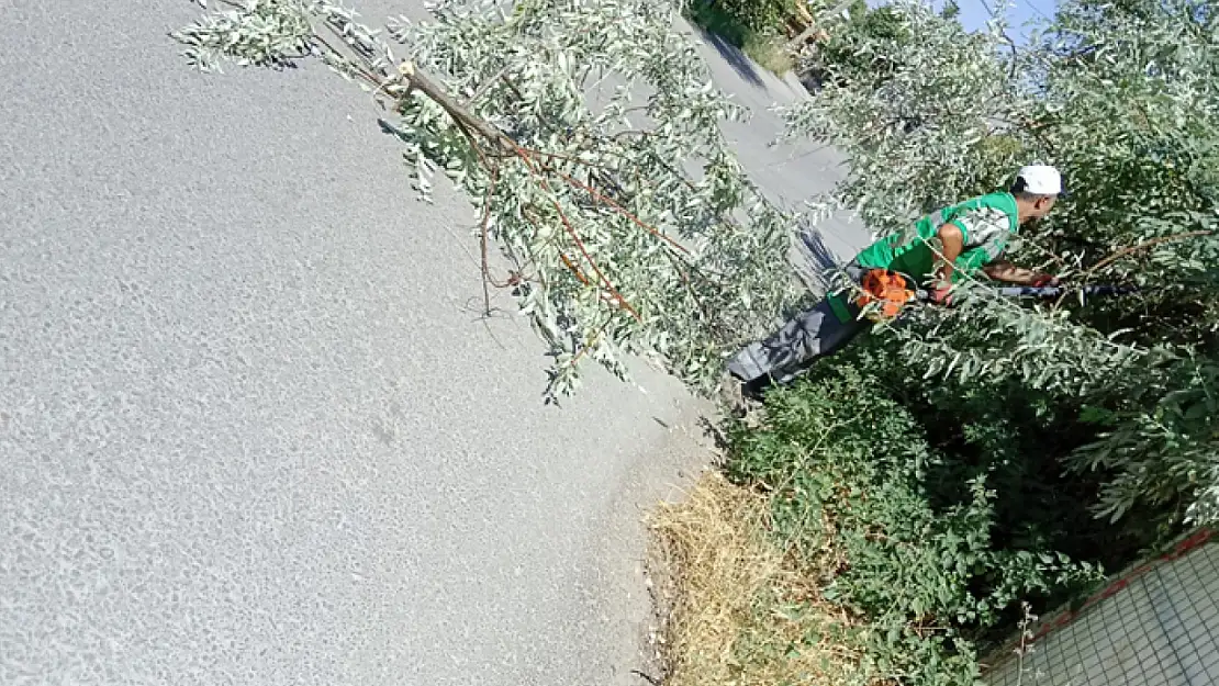 Edremit Belediyesi'nden yaya güvenliği çalışmaları