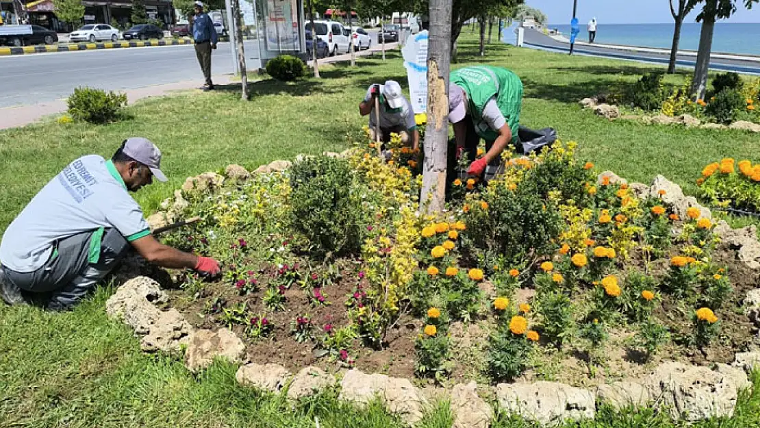 Edremit parklarında rengarenk çiçek şöleni