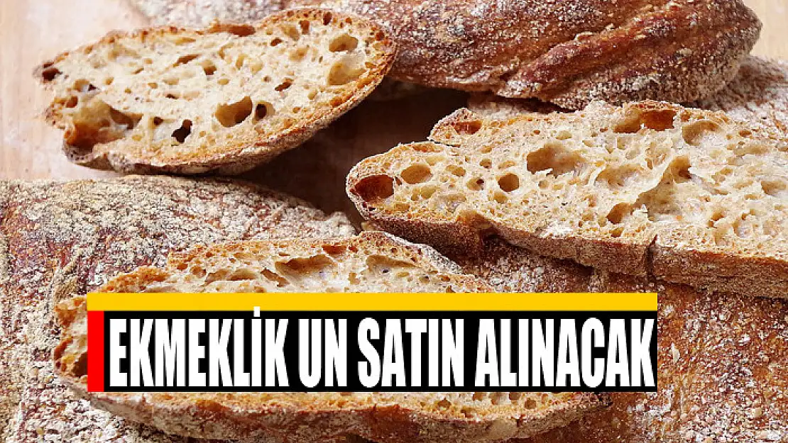 Ekmeklik un satın alınacak