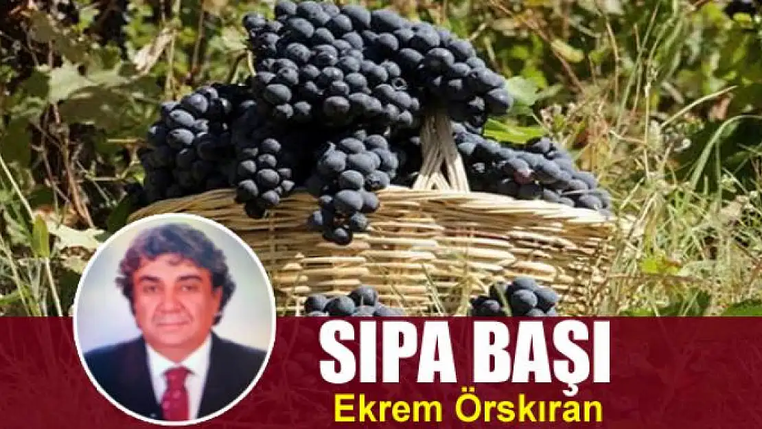 Sıpa Başı