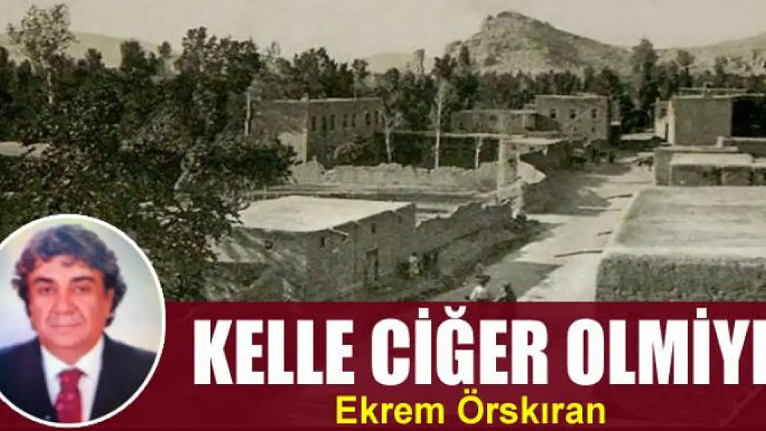 Kelle Ciğer Olmiye!