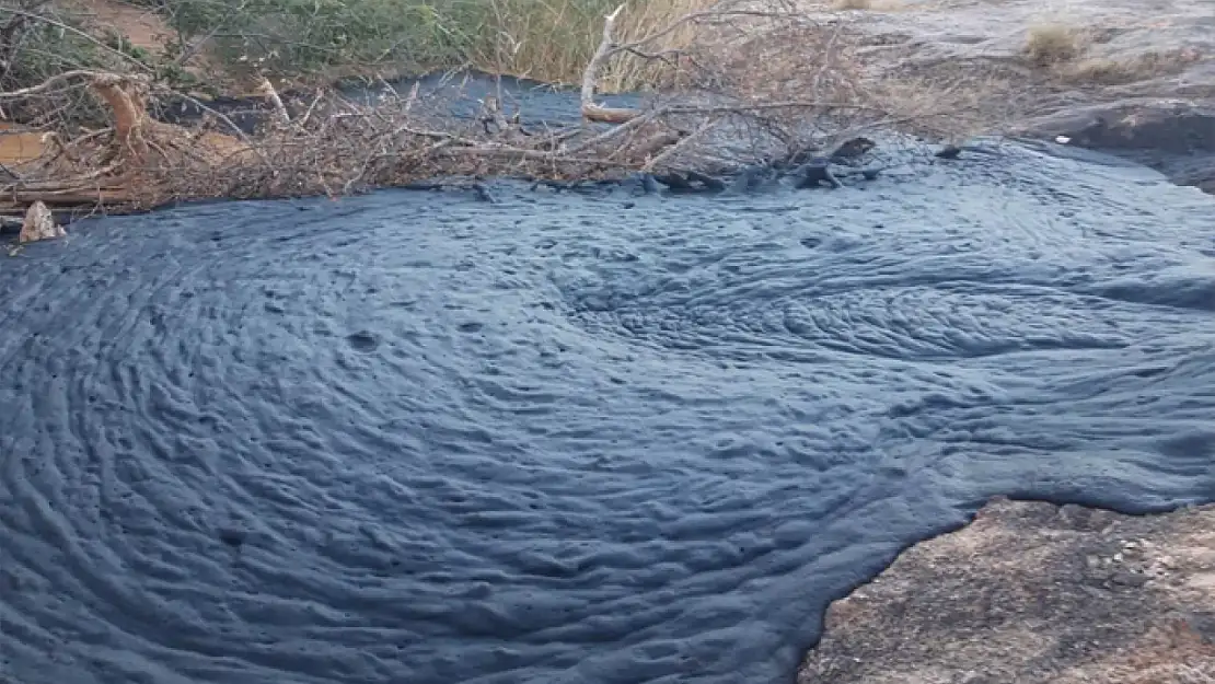 Elazığ'da petrol heyecanı