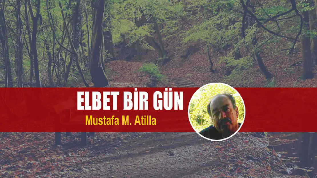 Elbet bir gün