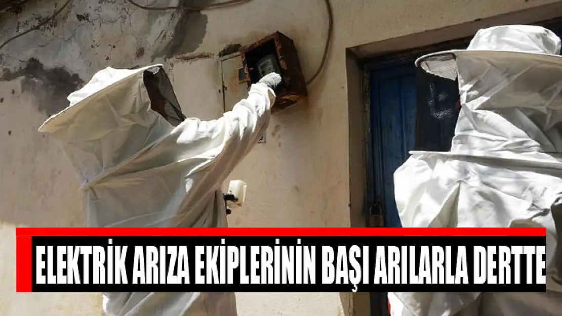 Elektrik arıza ekiplerinin başı arılarla dertte