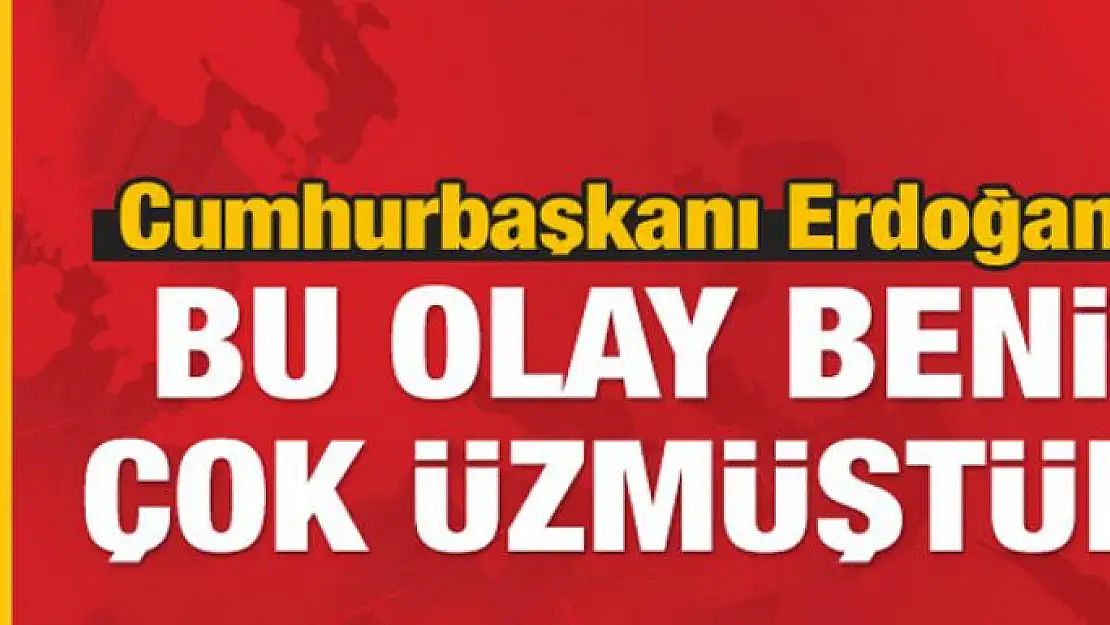 Cumhurbaşkanı Erdoğan: Bu olay beni çok üzmüştür