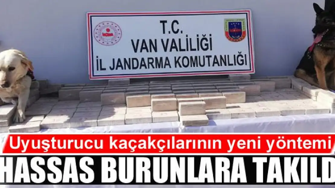 Uyuşturucu kaçakçılarının yeni yöntemi hassas burunlara takıldı