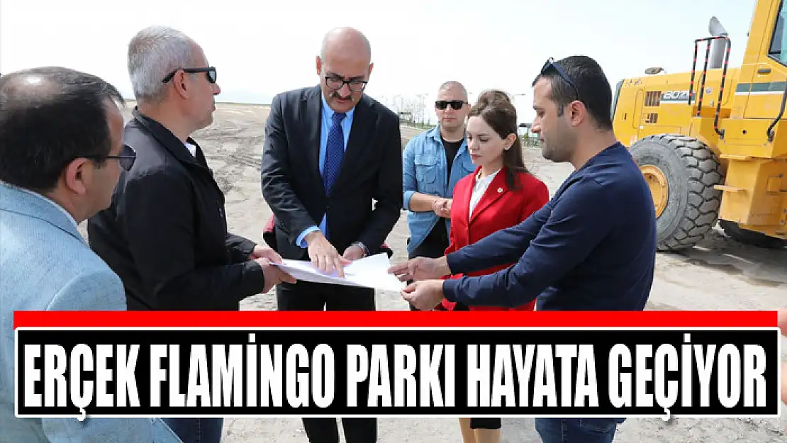 Erçek flamingo parkı hayata geçiyor