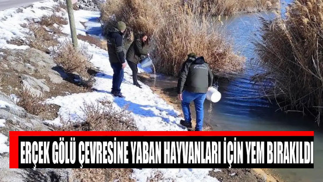 Erçek Gölü çevresine yaban hayvanları için yem bırakıldı