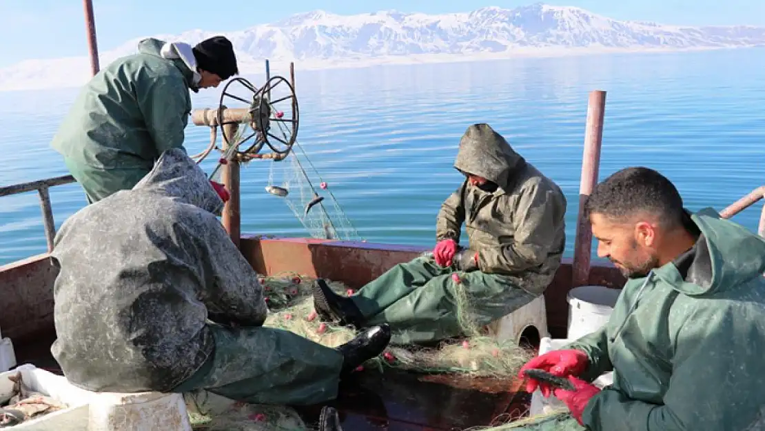 Erçek Gölü'ndeki balık popülasyonu balıkçıları sevindirdi