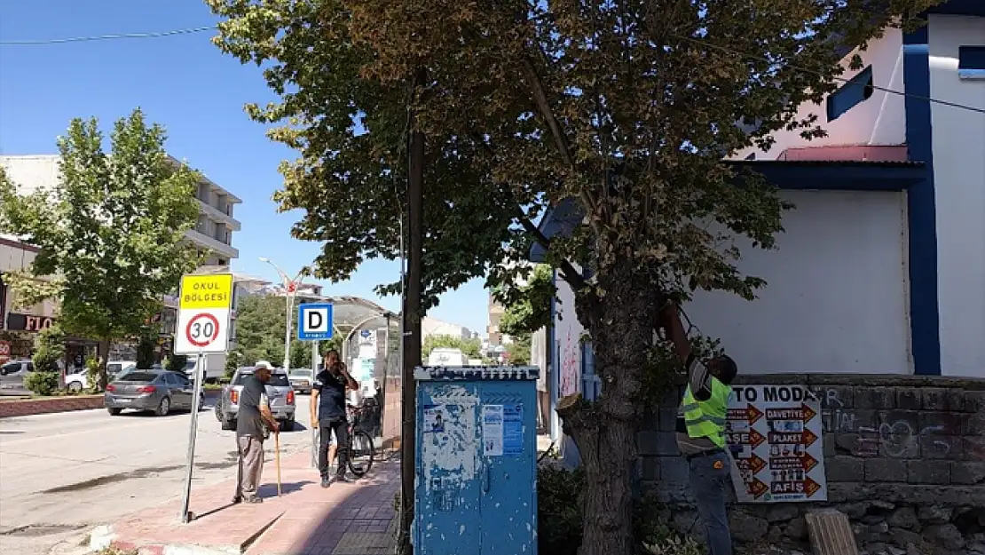 Erciş Belediyesi'nden ağaç budama çalışmaları