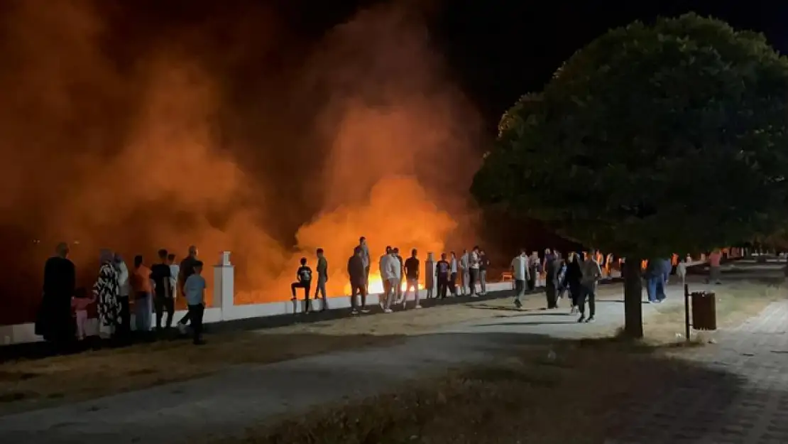 Erciş'te anız yangını