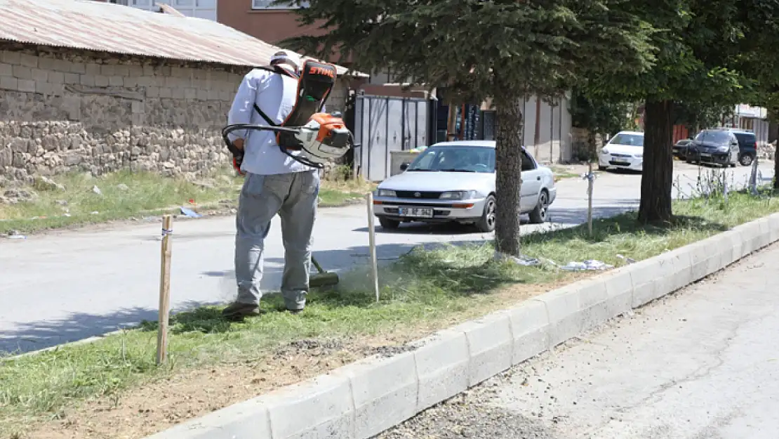 Erciş'te orta refüj ve yeşil alanlarda ot biçme çalışması