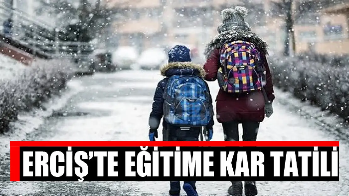 Erciş'te eğitime kar tatili