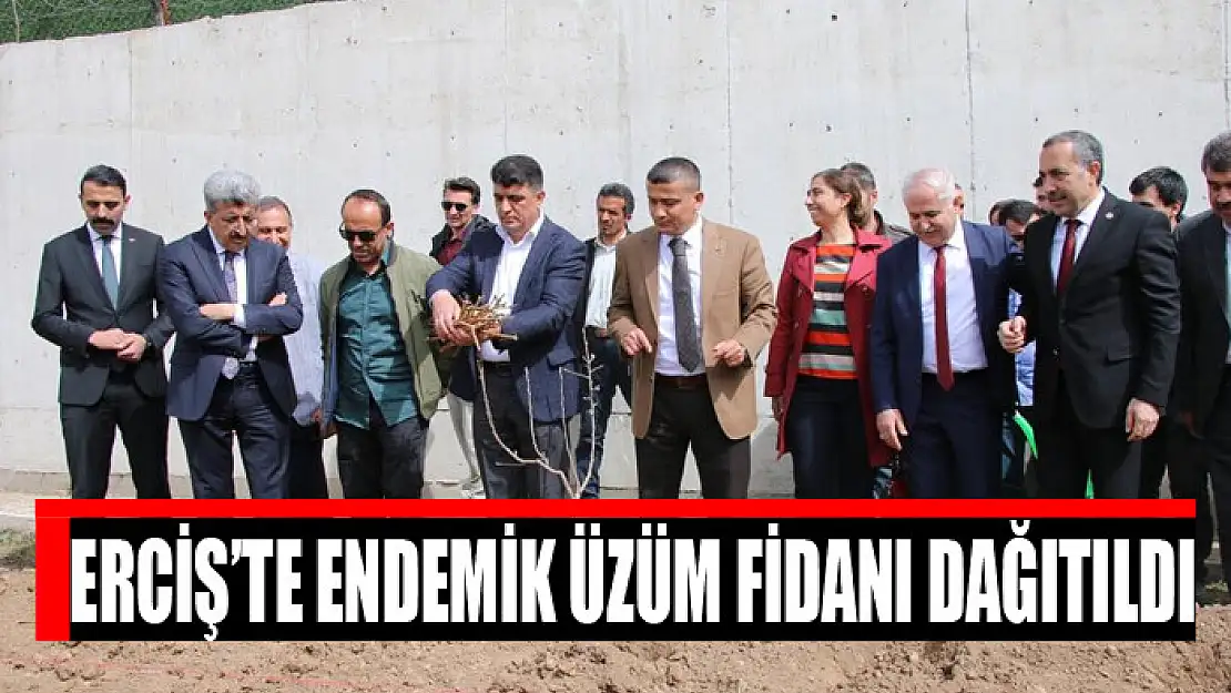 Erciş'te endemik üzüm fidanı dağıtıldı