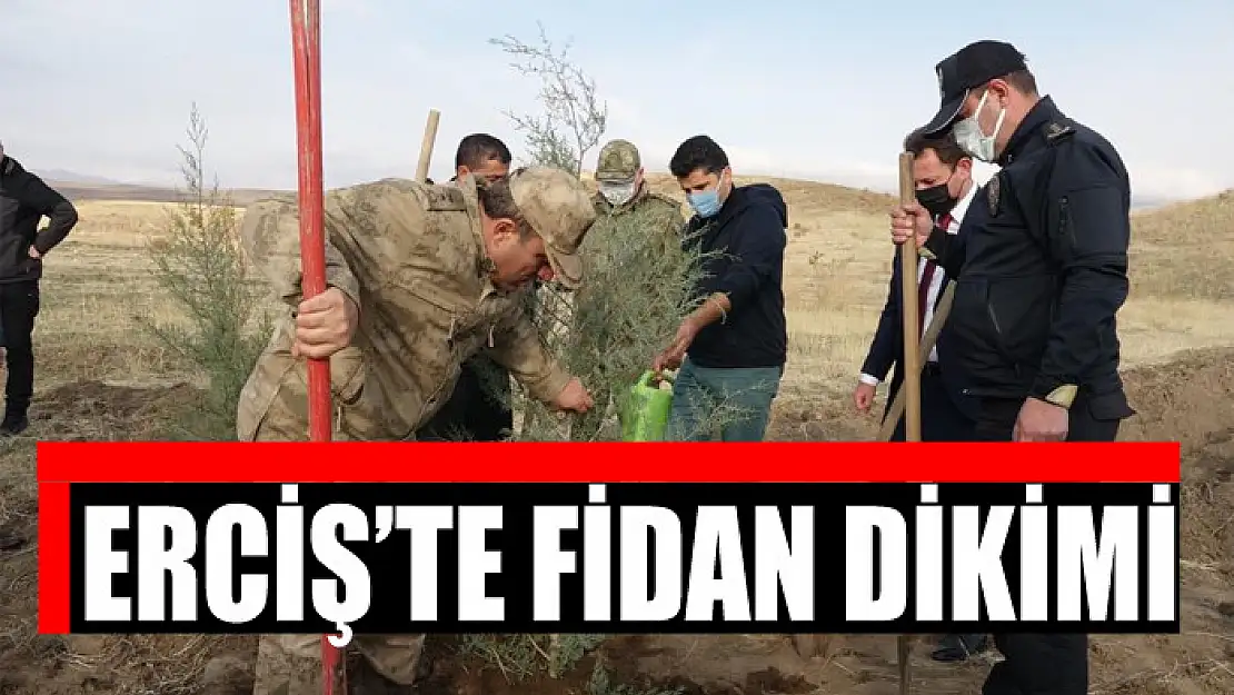 Erciş'te fidan dikimi