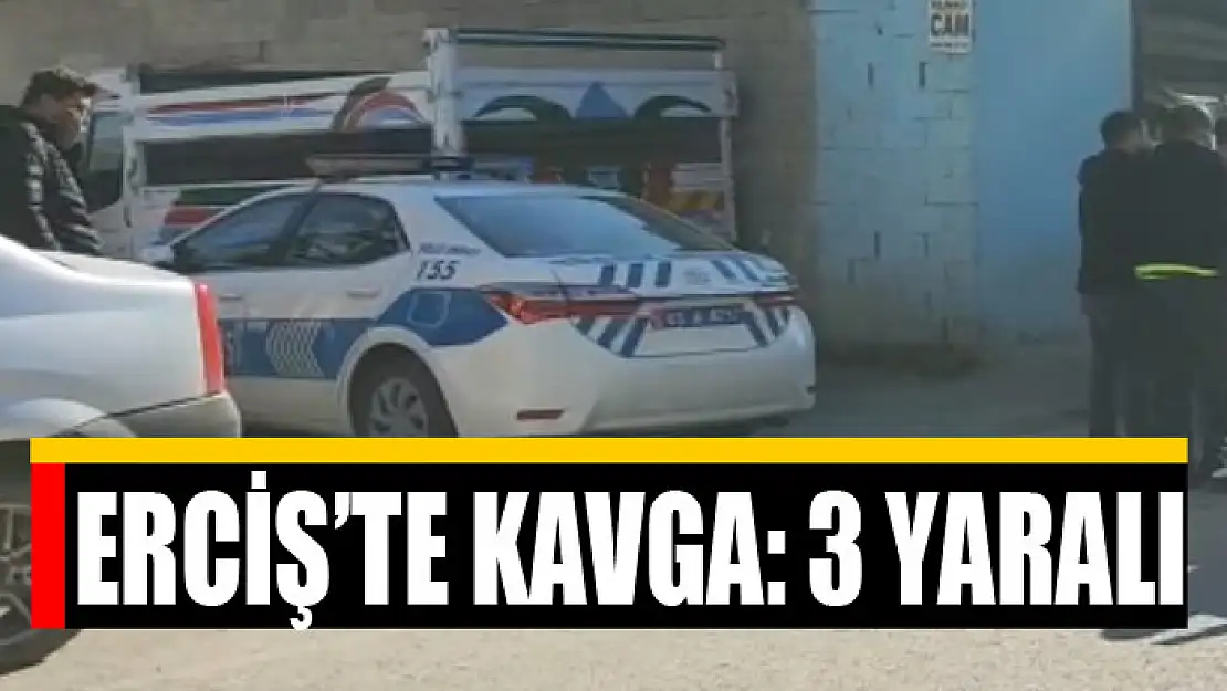 Erciş'te kavga: 3 yaralı