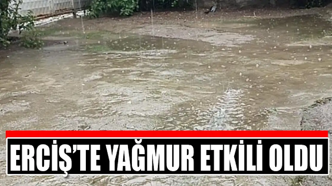 Erciş'te yağmur etkili oldu