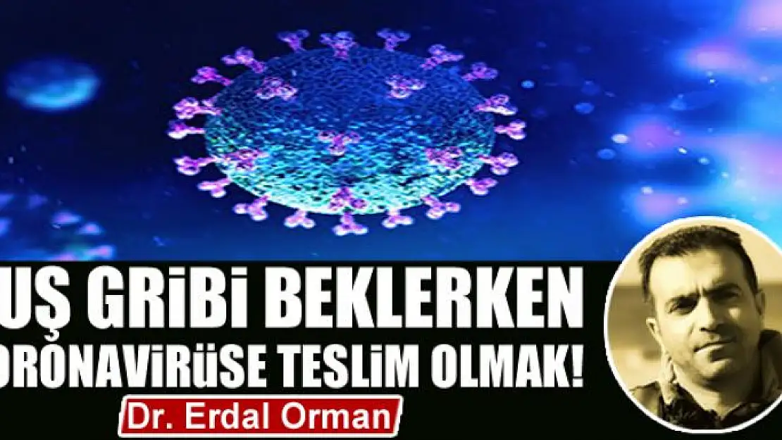 Kuş Gribi Beklerken Koronavirüse Teslim Olmak!