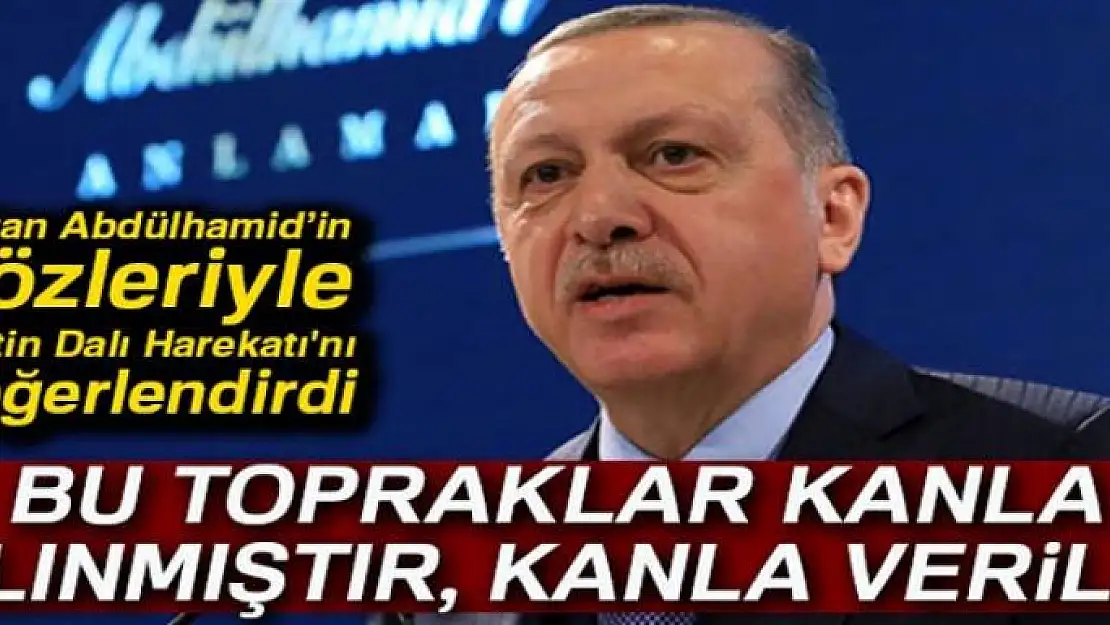 Cumhurbaşkanı Erdoğan, Sultan Abdülhamid'in sözleriyle Zeytin Dalı Harekatı'nı değerlendirdi