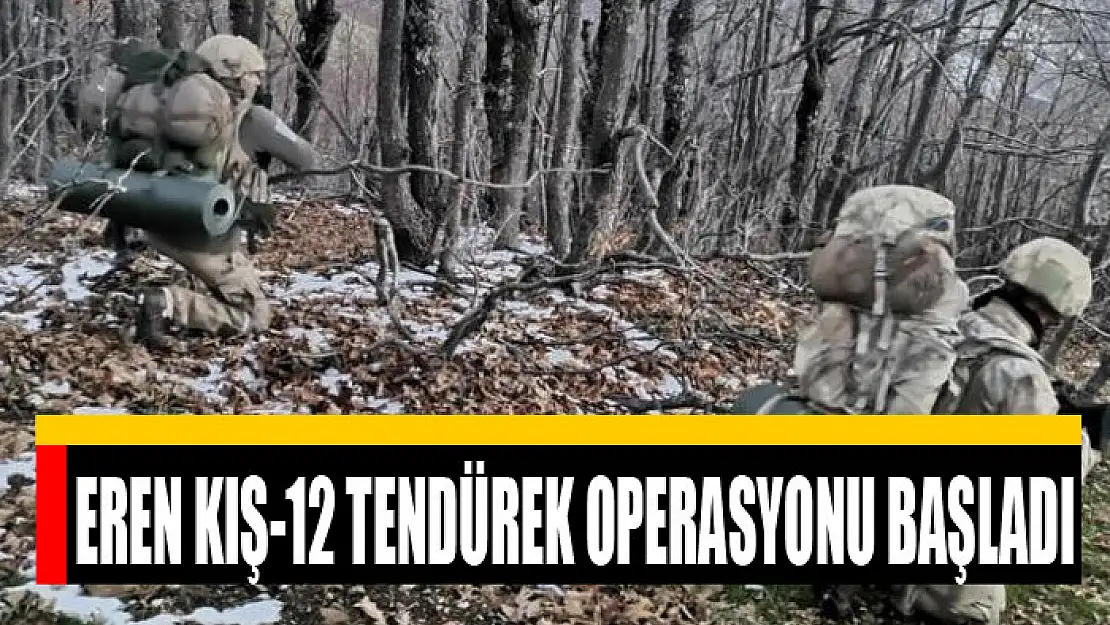 Eren Kış-12 Tendürek Operasyonu başladı