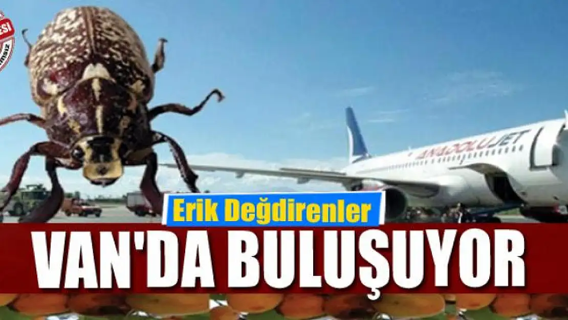 Erik Değdirenler Van'da buluşuyor