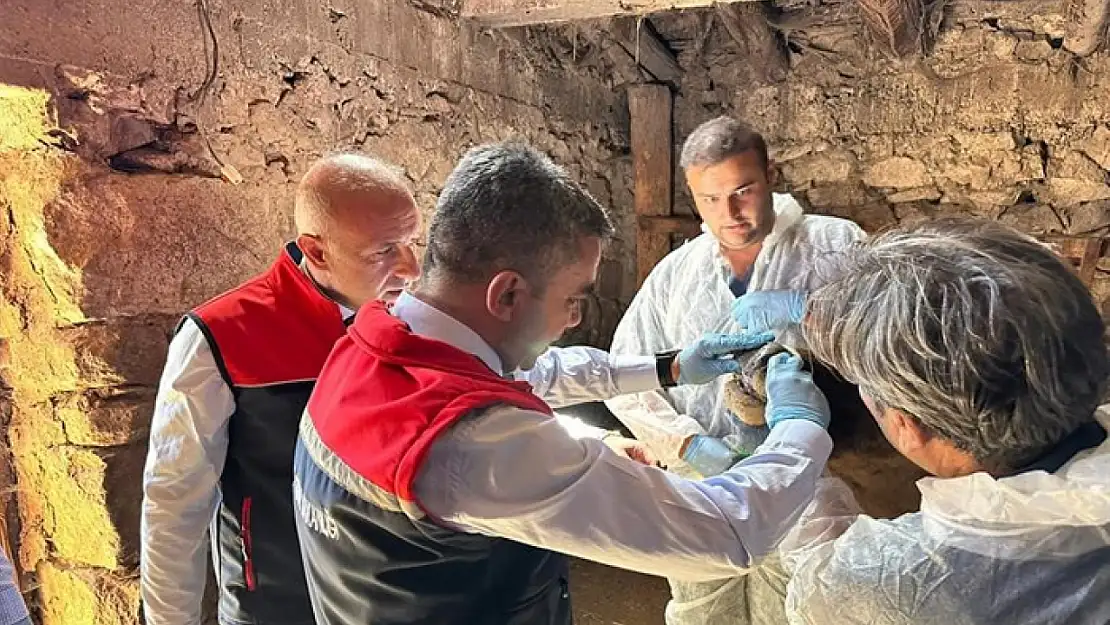 Erzurum'da hastalık takibi kararlılıkla devam ediyor