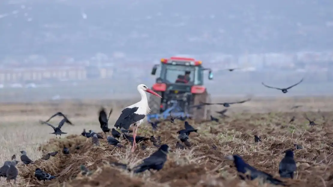 Erzurum'da traktör ve motosiklet sayısında artış var