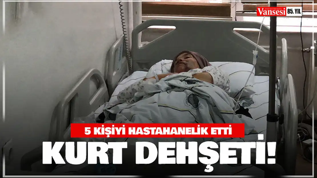 Erzurum'da kurt dehşeti: 5 yaralı