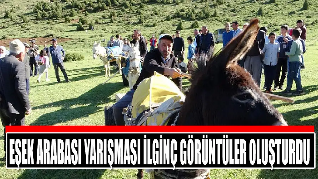 Eşek Arabası yarışması ilginç görüntüler oluşturdu