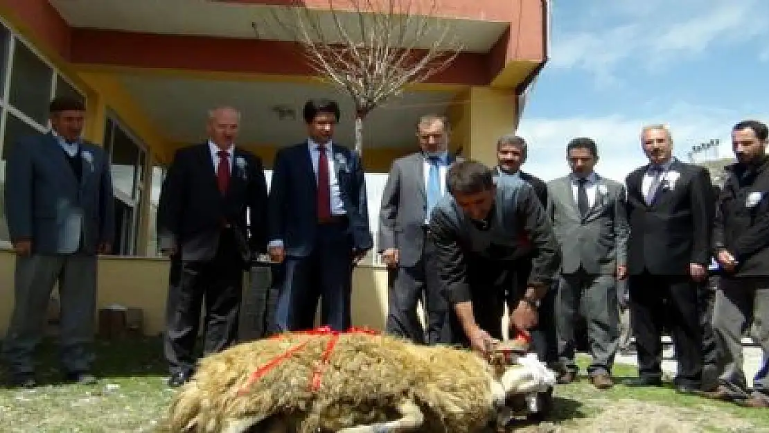 Van'da Kutlu Doğum Haftası Etkinlikleri