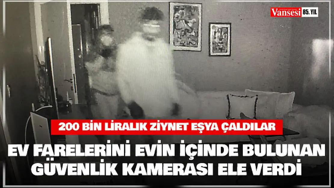 Ev farelerini evin içinde bulunan güvenlik kamerası ele verdi