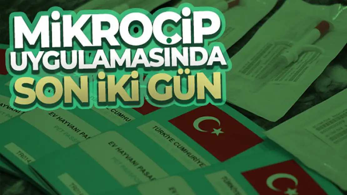 Ev hayvanlarının dijital kimliklendirilmesi için son iki gün