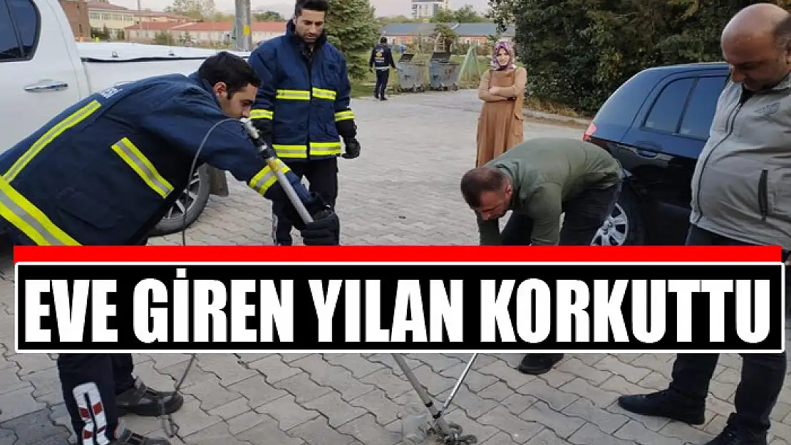 Eve giren yılan korkuttu