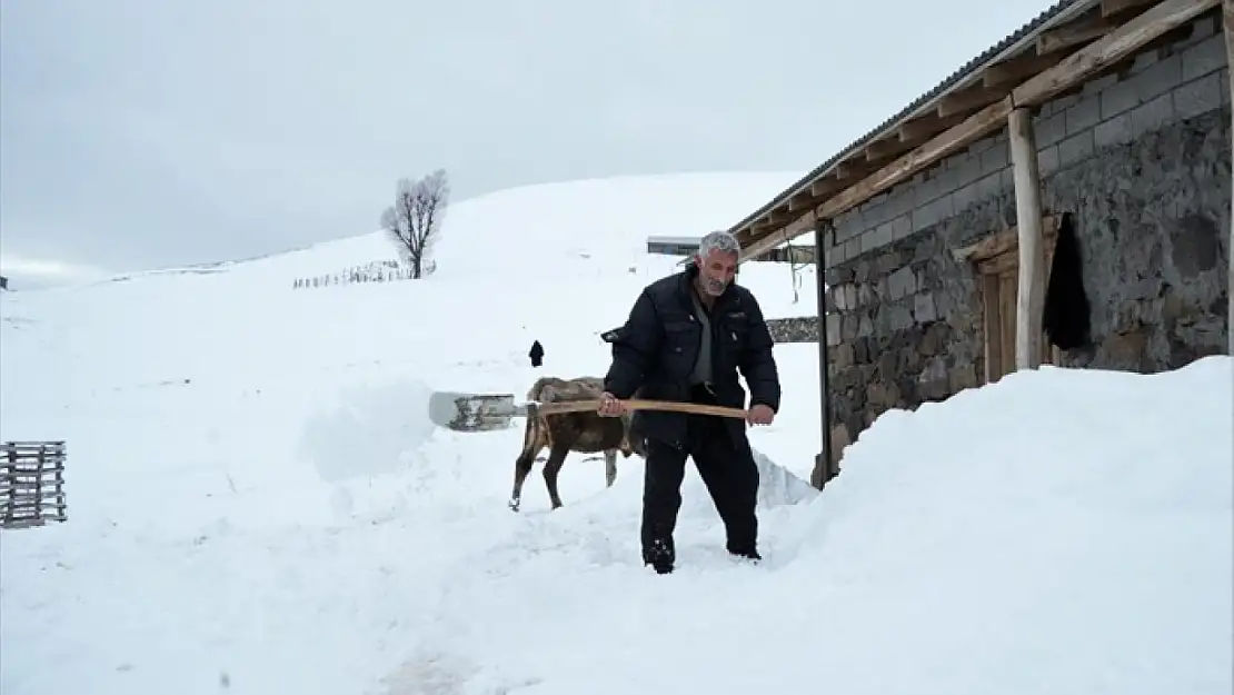 Evler, odunluklar ve ahırlar kara gömüldü