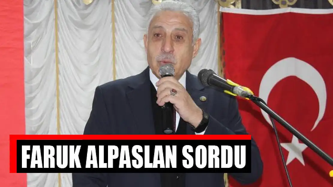 Faruk Alpaslan sordu