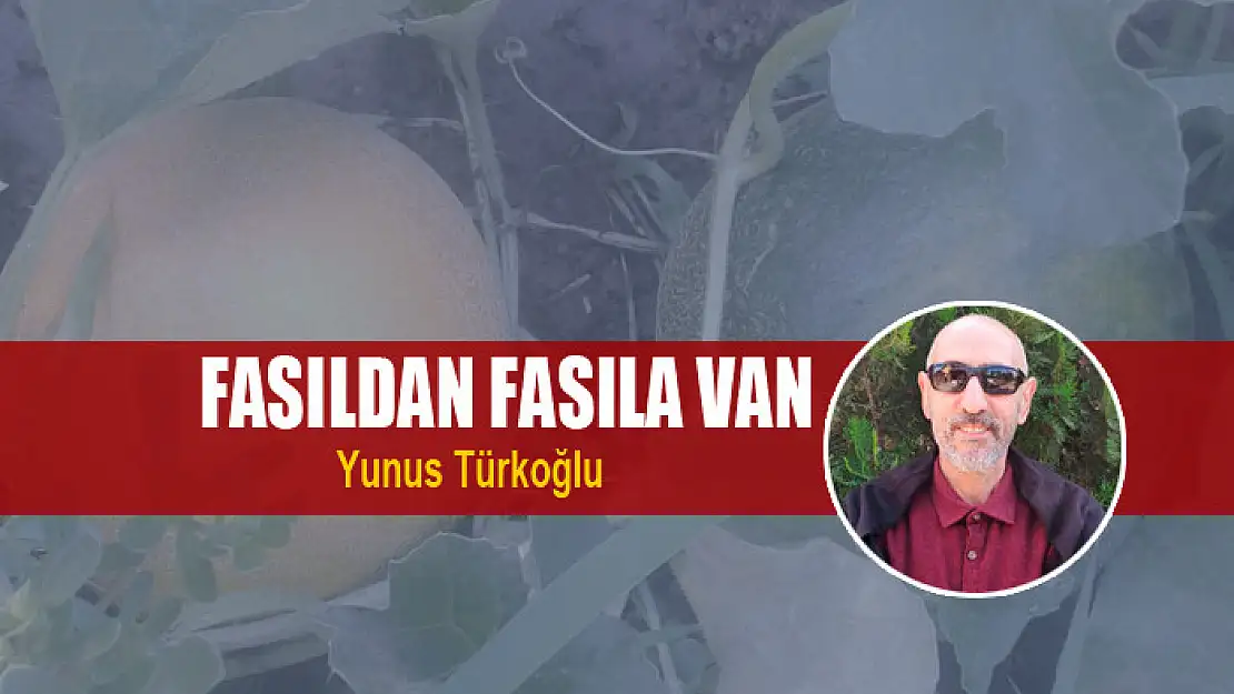 Fasıldan Fasıla Van