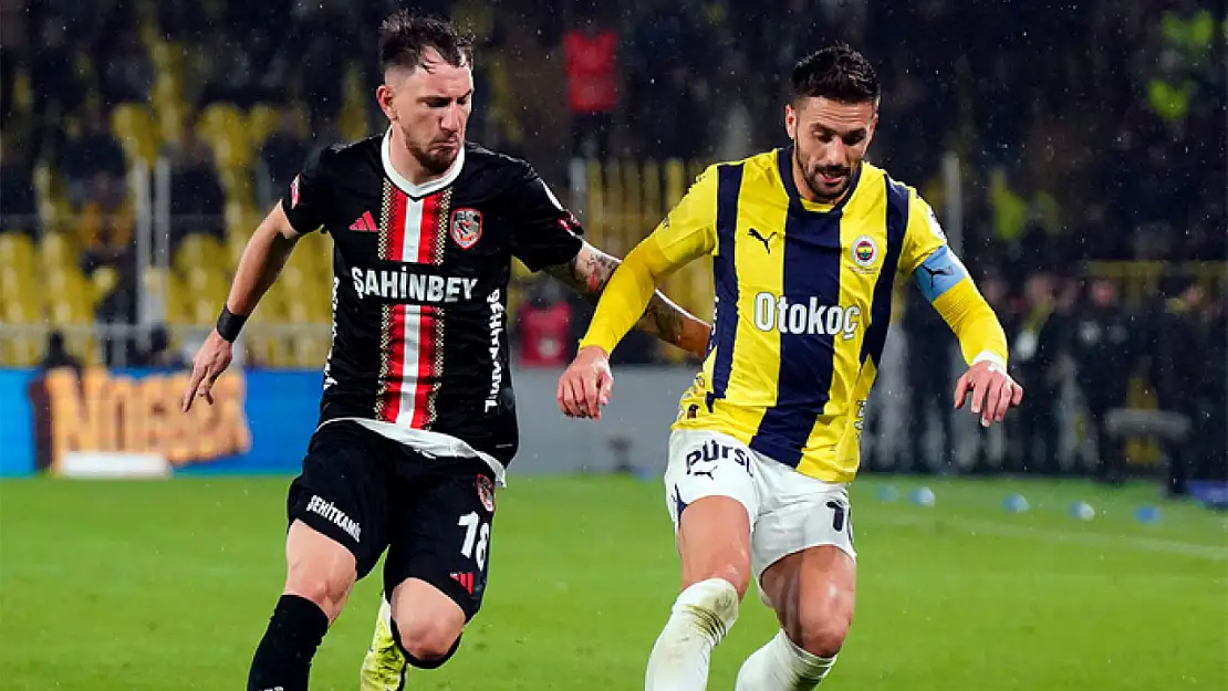 Fenerbahçe, Türkiye Kupası'nda tur için sahada