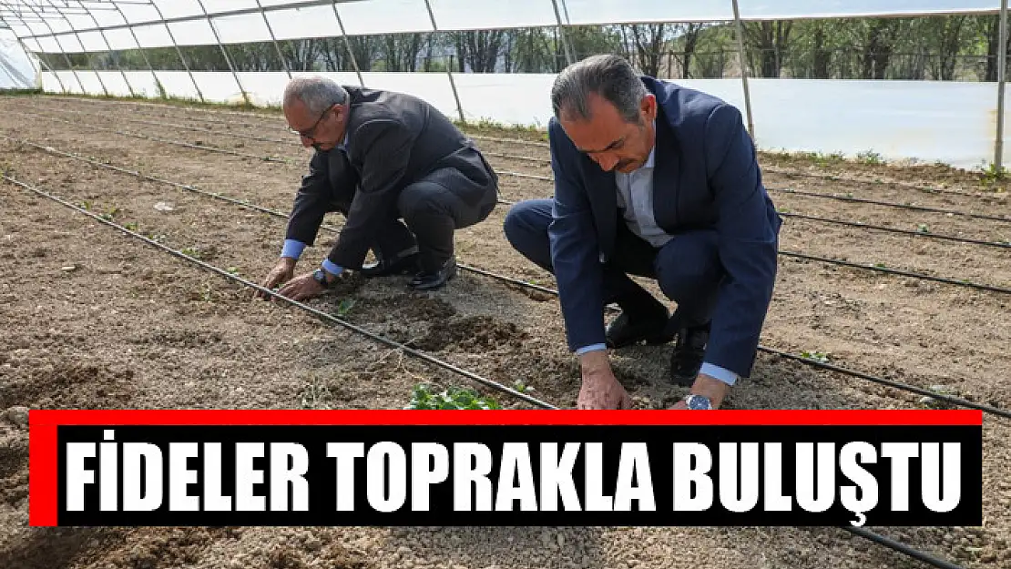 Fideler toprakla buluştu